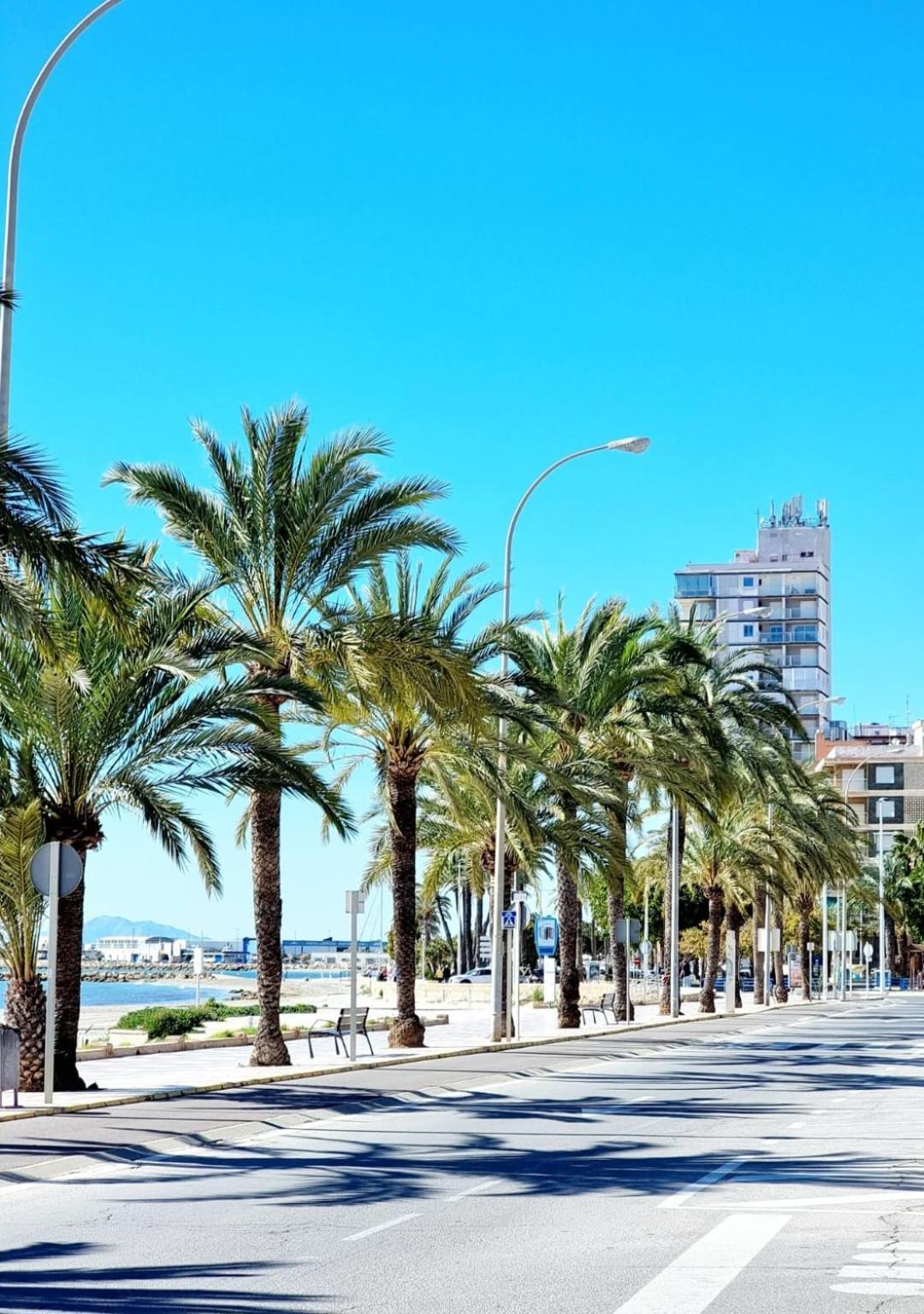 Sunshine Apartment Santa Pola Eksteriør bilde